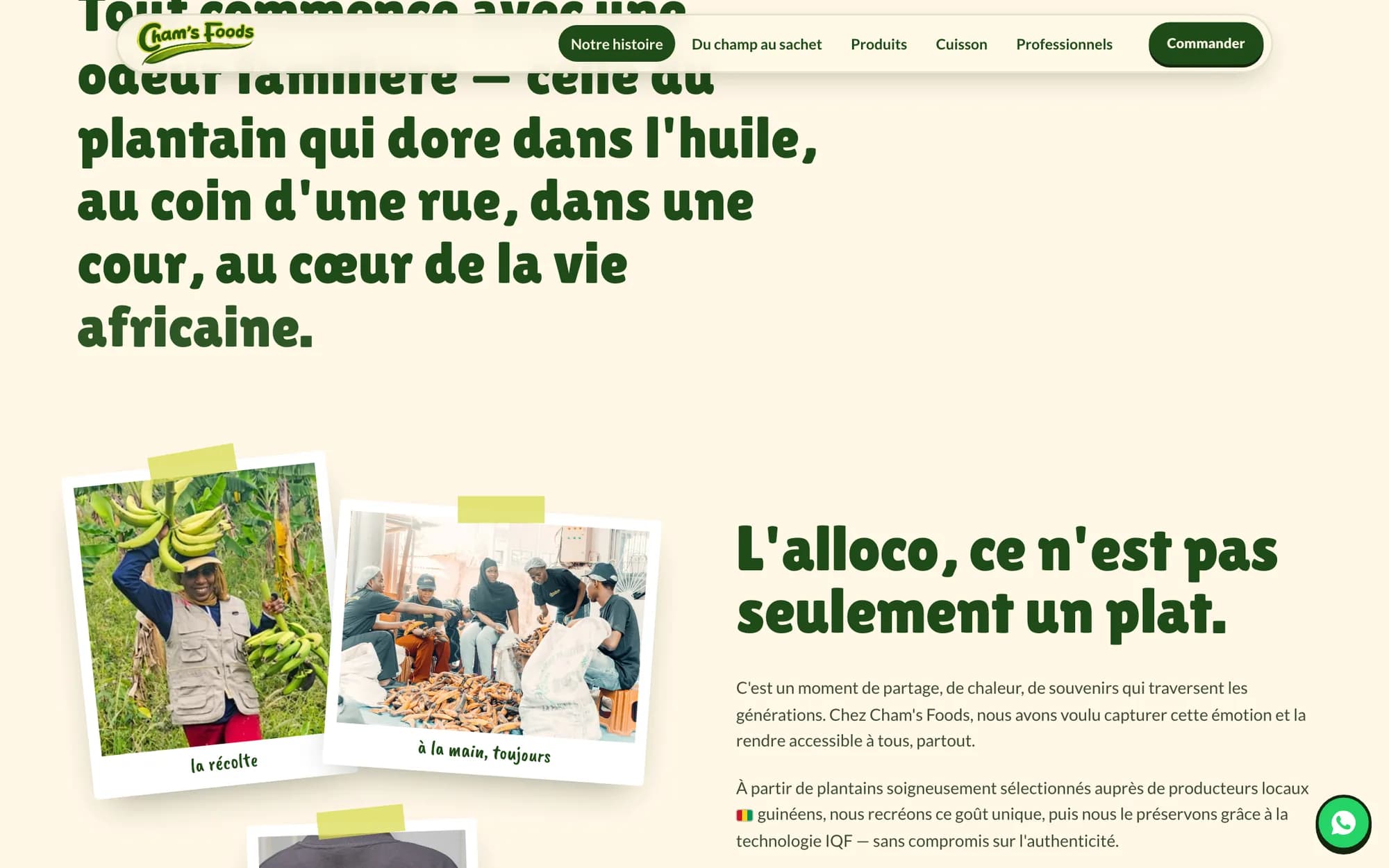 Notre histoire